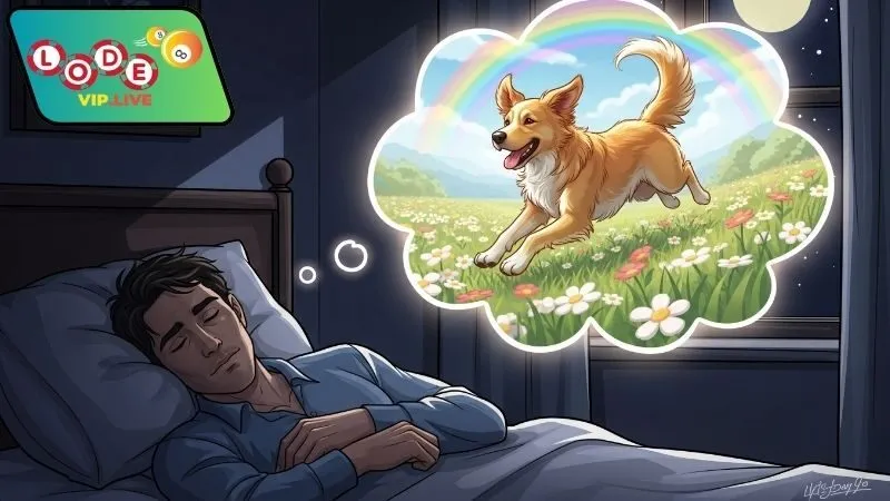 Mơ thấy chó đánh con gì – Giải mã giấc mơ may mắn 3 Bí quyết áp dụng con số mơ thấy chó hiệu quả